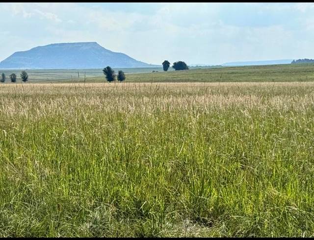 FARM FOR SALE IN NEWCASTLE RURAL